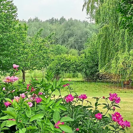 Les Chambres Du Vert Galant Rez De Jardin Verlinghem Dış mekan fotoğraf