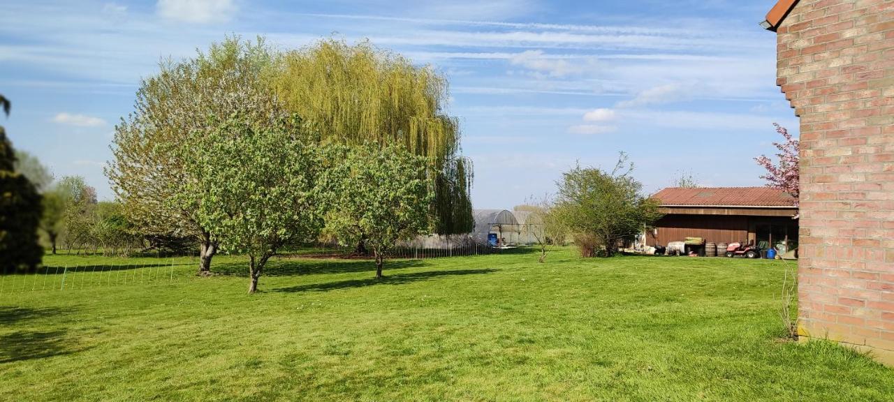 Les Chambres Du Vert Galant Rez De Jardin Verlinghem Dış mekan fotoğraf
