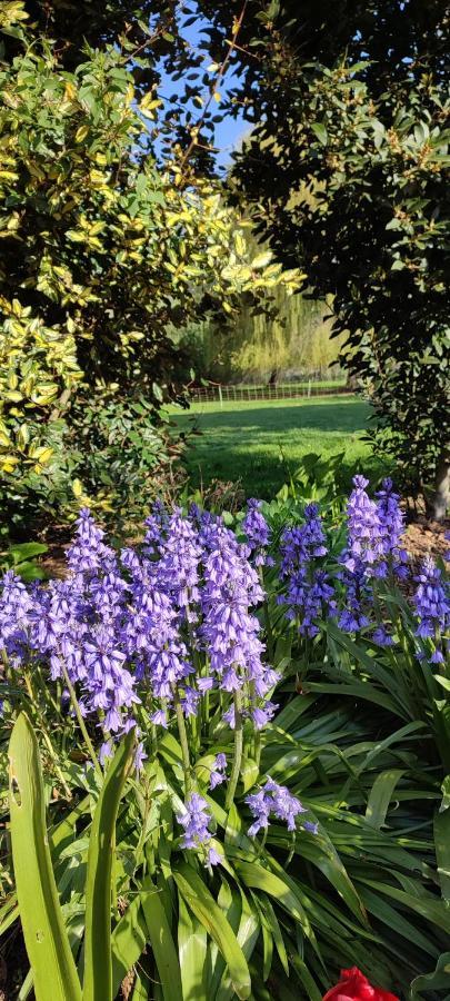Les Chambres Du Vert Galant Rez De Jardin Verlinghem Dış mekan fotoğraf